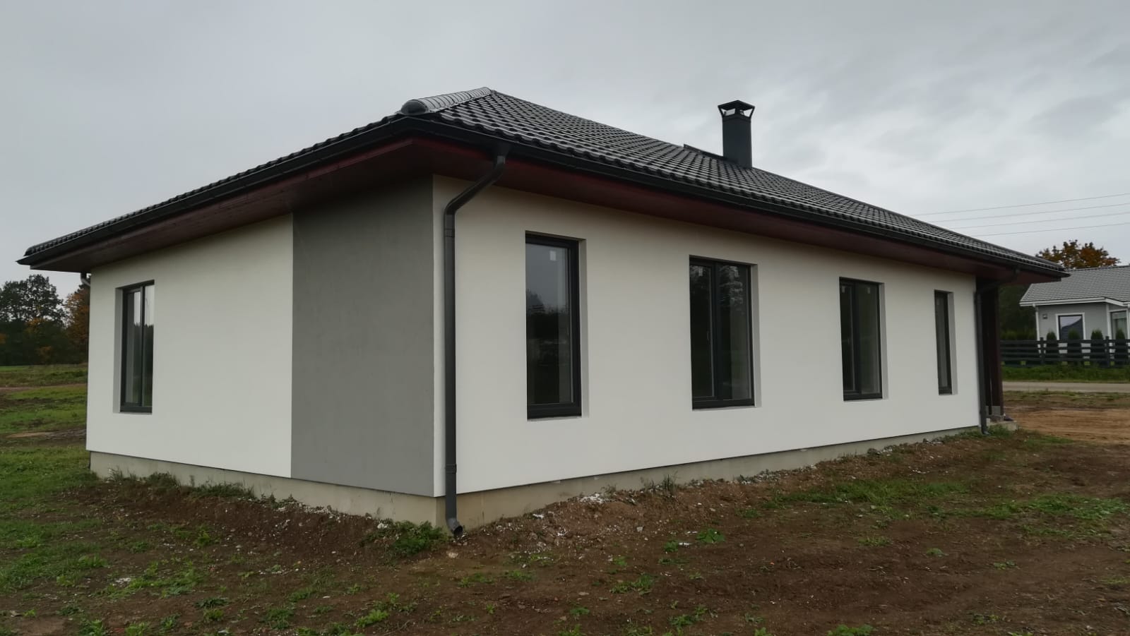Fasādes krāsošana